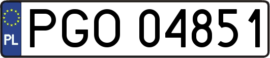 PGO04851