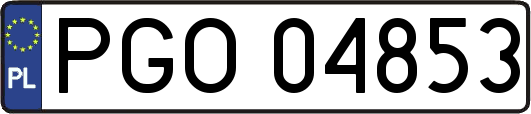 PGO04853