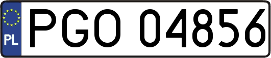 PGO04856