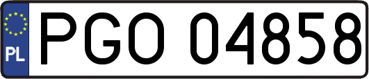 PGO04858