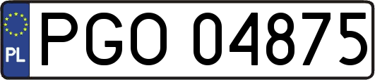 PGO04875