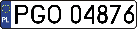 PGO04876