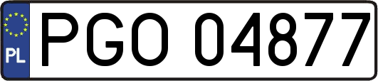 PGO04877