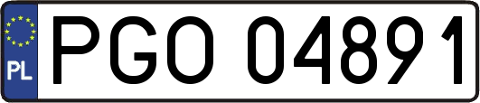 PGO04891