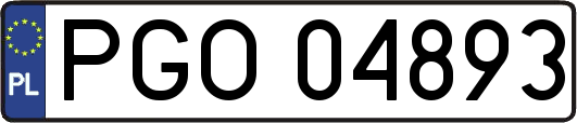 PGO04893