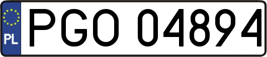 PGO04894