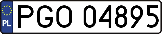 PGO04895
