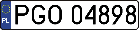PGO04898
