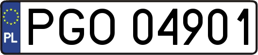 PGO04901