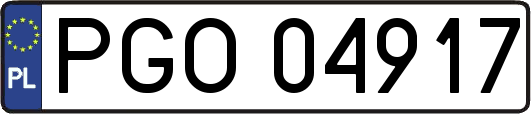 PGO04917