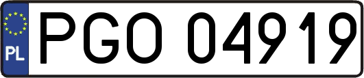 PGO04919
