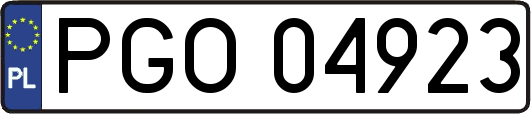 PGO04923