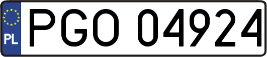 PGO04924
