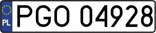 PGO04928