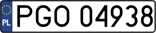 PGO04938