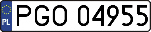 PGO04955