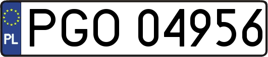 PGO04956