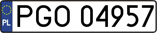 PGO04957