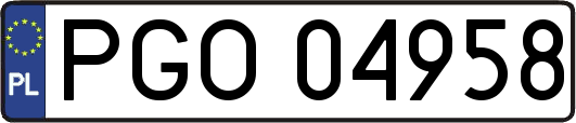 PGO04958