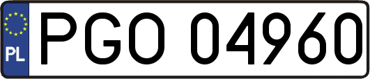 PGO04960