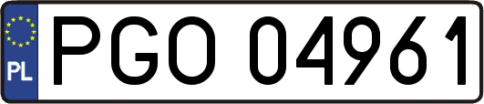 PGO04961