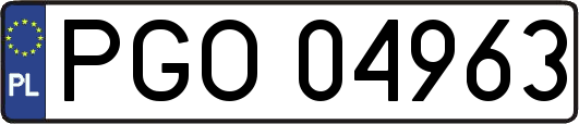 PGO04963