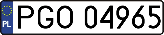 PGO04965