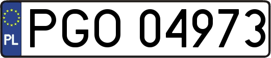 PGO04973