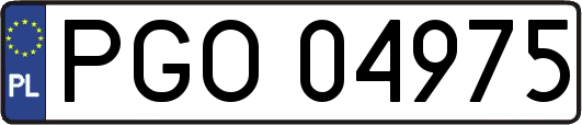 PGO04975