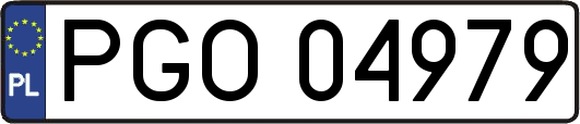 PGO04979