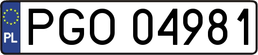 PGO04981