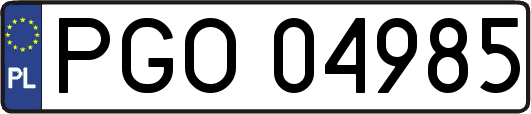 PGO04985