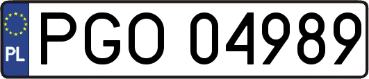 PGO04989
