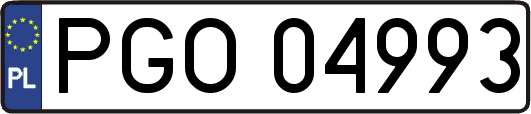 PGO04993