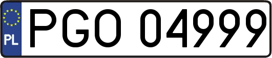 PGO04999