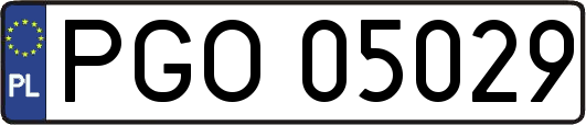 PGO05029