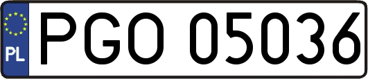 PGO05036