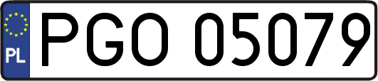 PGO05079