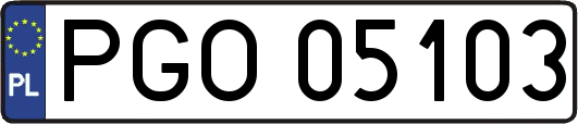 PGO05103