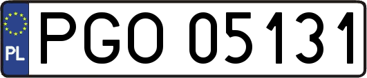 PGO05131