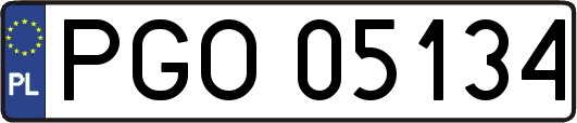 PGO05134