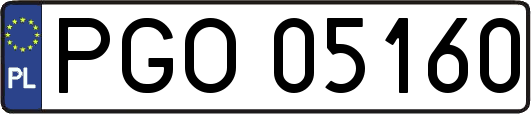 PGO05160