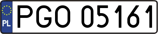 PGO05161