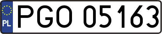 PGO05163