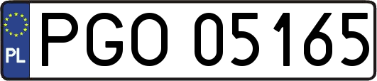 PGO05165