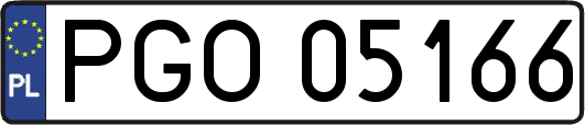 PGO05166