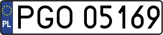 PGO05169