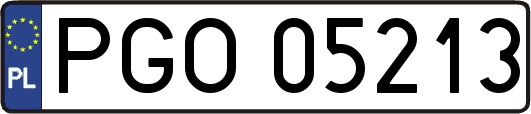 PGO05213