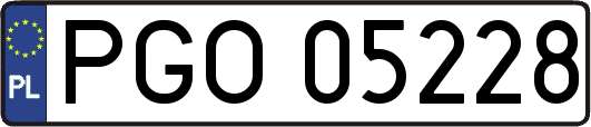 PGO05228