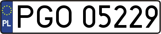 PGO05229